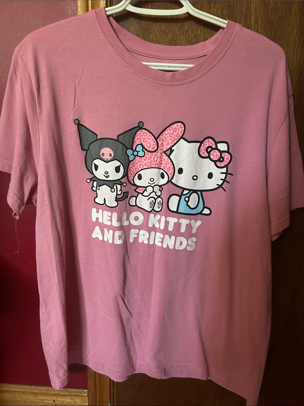 Sanrio Pink Hello Kitty and Friends Character Tee